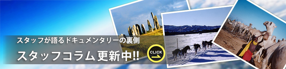 スタッフコラム更新中!!
