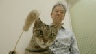 neko_01.jpg